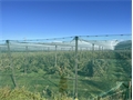 Image du bien UBI458258495